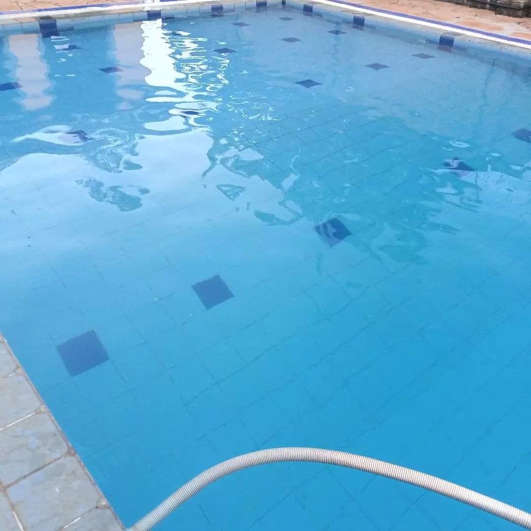 swimming pool cleaning (6)